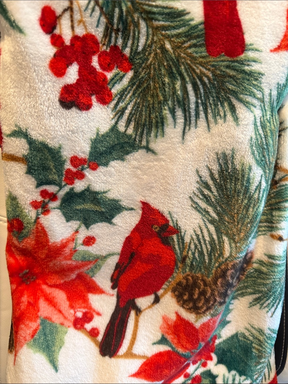 Whitmore Village Cardinal & Poinsettia Holiday Throw - Red, Green, Cream - Picture 3 of 4